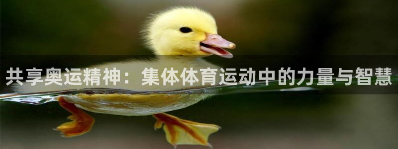 JJB竞技宝官网下载平台APP:共享奥运精神:集体体育运动中